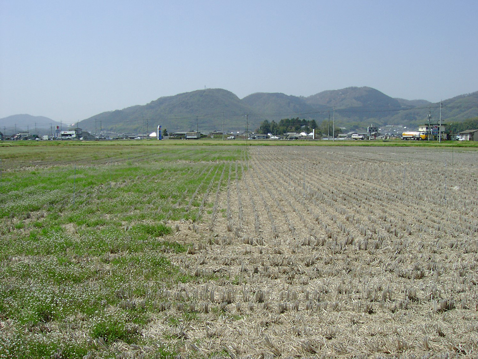 事例1