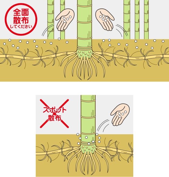全面散布してください　スポット散布はしないでください